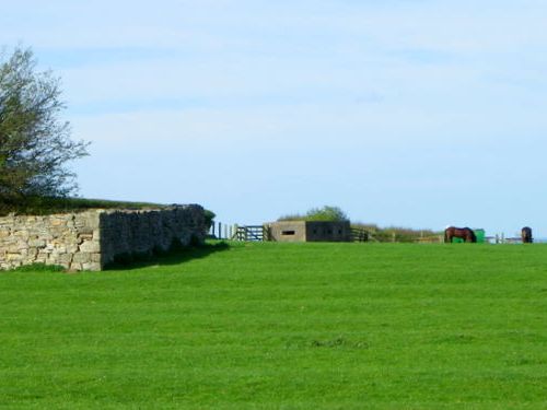 Lozenge Pillbox Boulmer #1