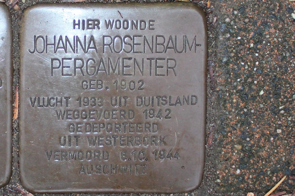 Stolpersteine Stationsstraat 65 #3