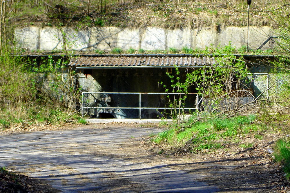 Festung Posen - Fort VIIa #3