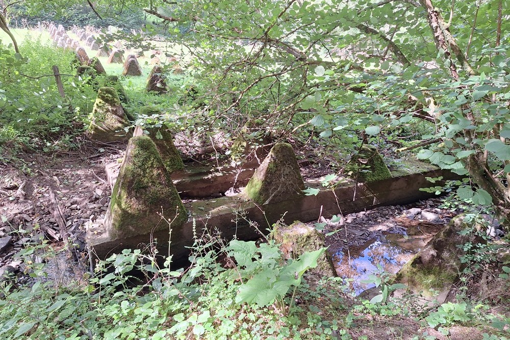 Westwall - Tank Barrier Hollerath #3