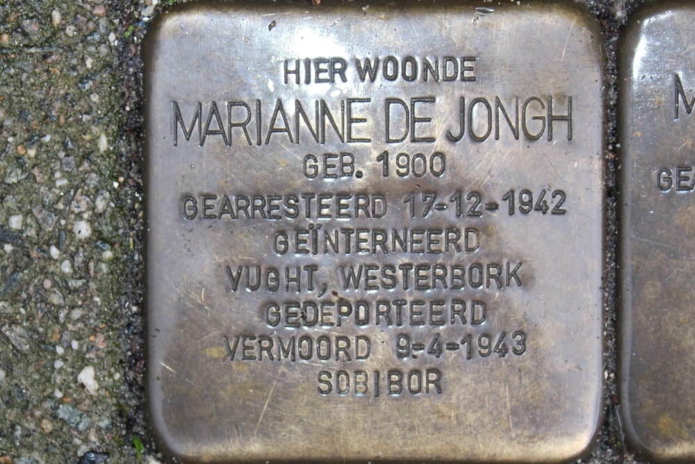 Stolpersteine Ruyschstraat 11 #2