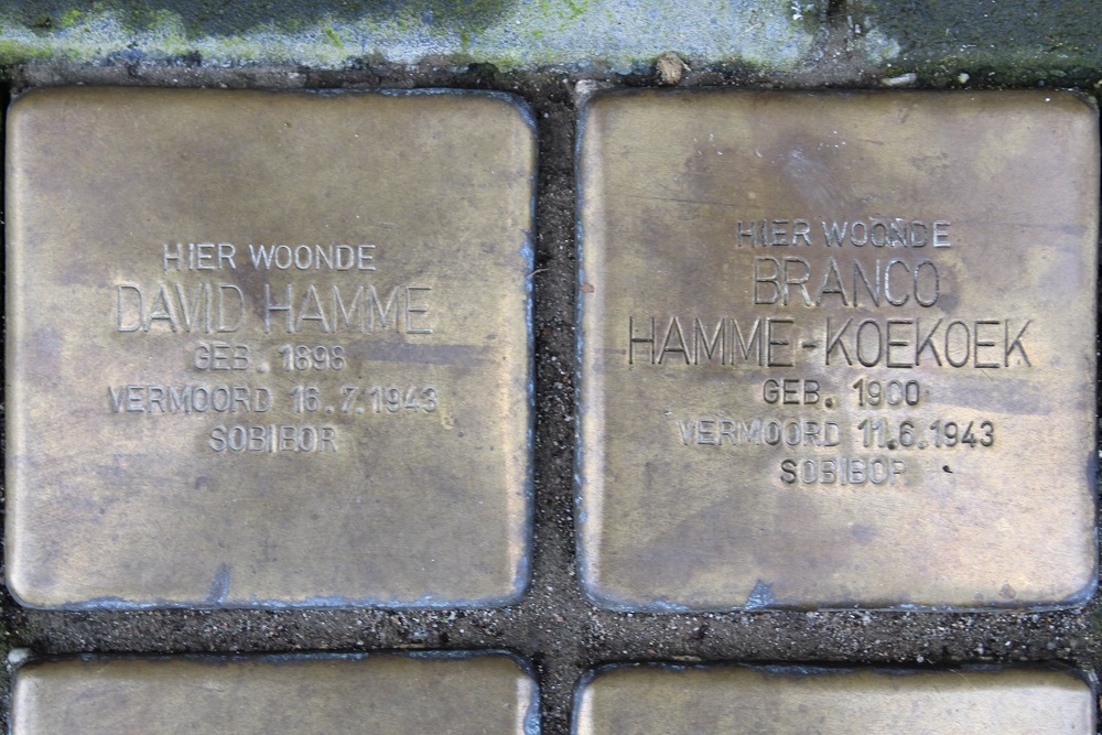 Stolpersteine Carel Reinierszkade 167 #2