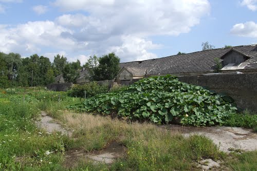 Tankversperring Pāce #2