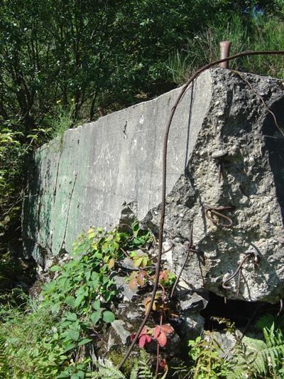 Westwall - Pillbox No. 118 on Ochsenkopf #3