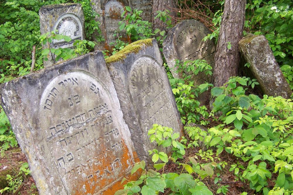 Jewish Cemetery Jzefw #3