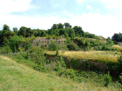 Fort Amherst