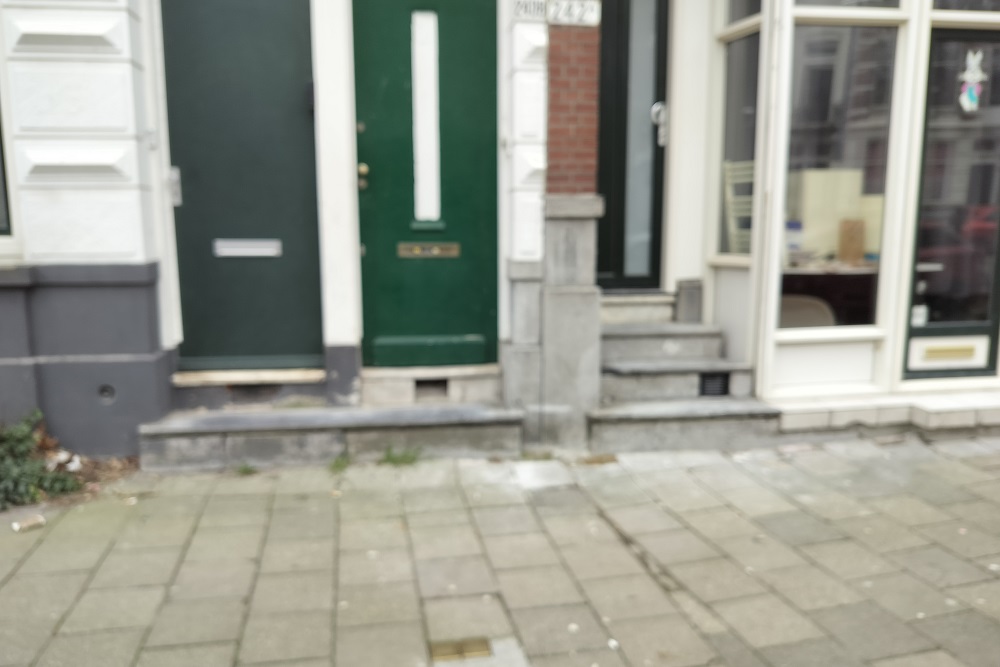 Stolpersteine Bergweg 240b #4