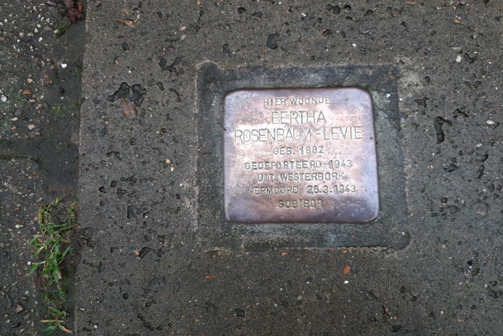 Stolpersteine Alexanderstraat 31 #3