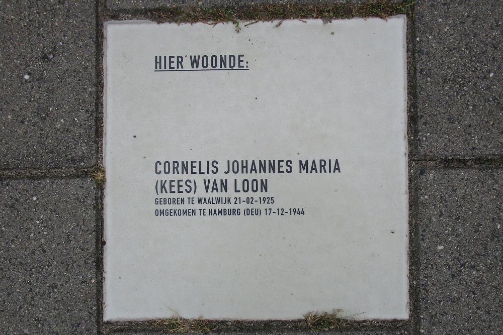 Memorial Stone Meester van Coothstraat 41 #1