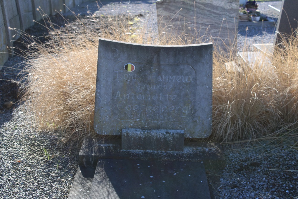 Belgian Graves Veterans Dormaal #4