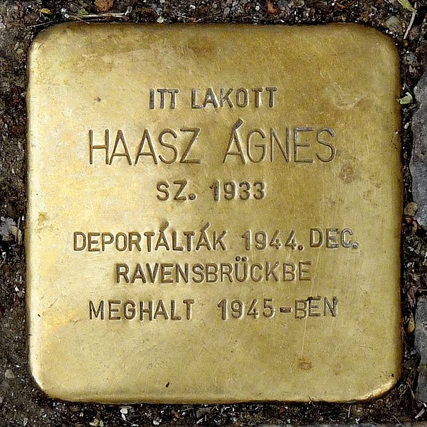 Stolpersteine Rkczi t 56 #1