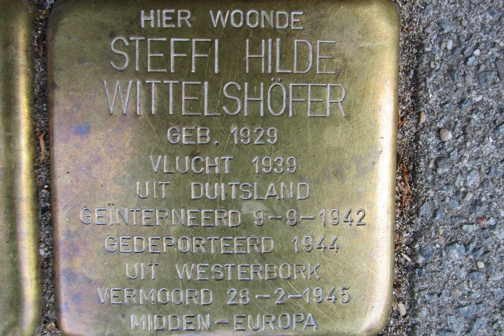 Stolpersteine Johannes Vermeerstraat 73 #4