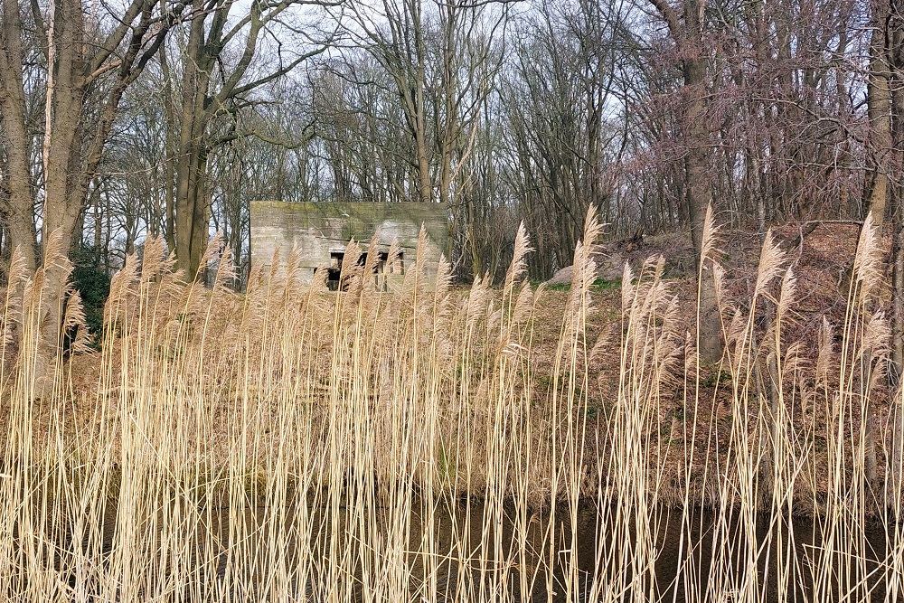 Pantherstellung - Bunker R003-P