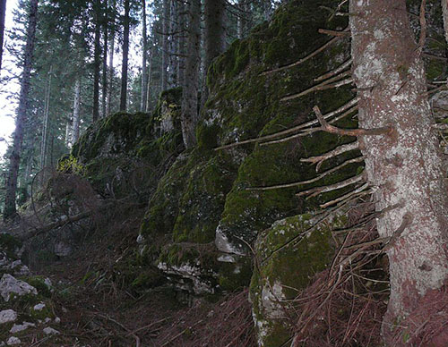 Oostenrijks-Hongaarse Stelling Monte Drer