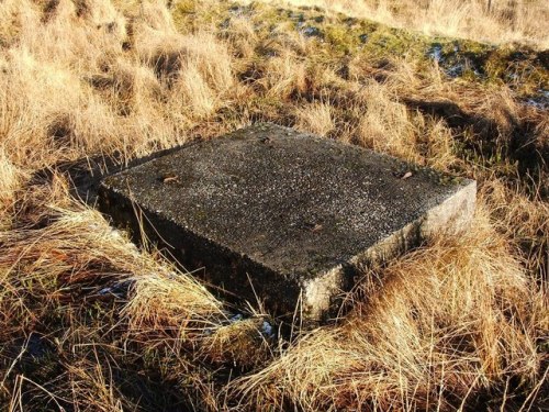 Starfish Decoy Site Auchenreoch Muir #2