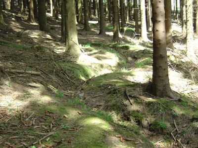 German Trenches on Ochsenkopf