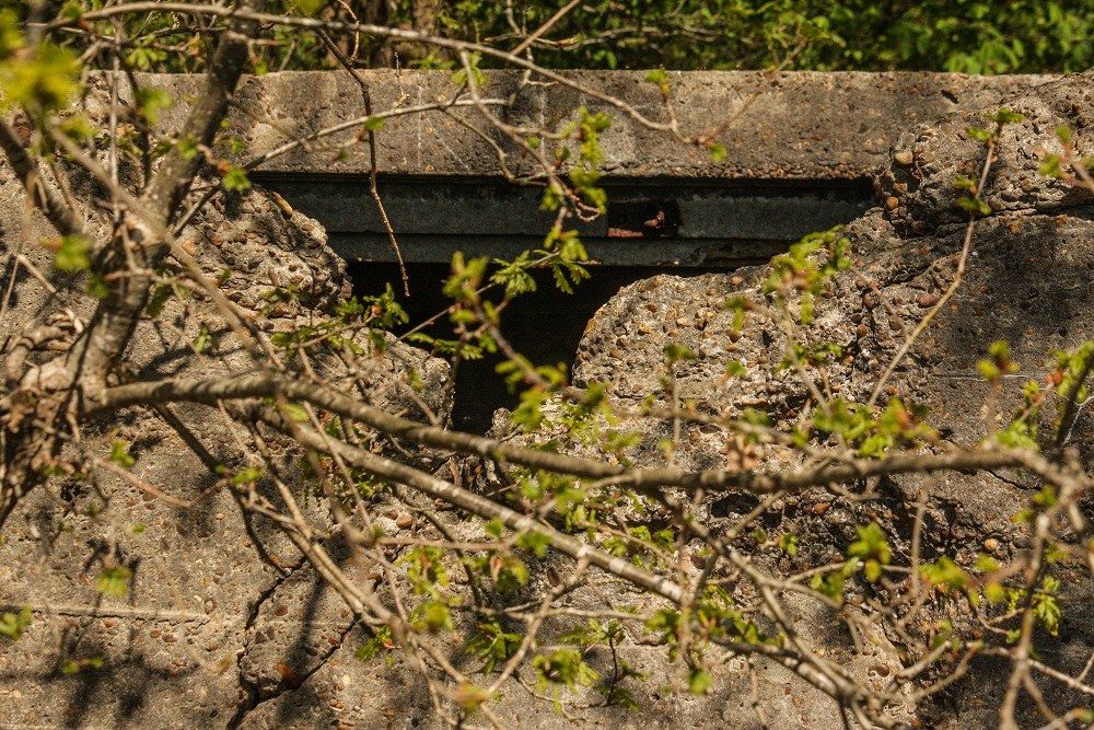 Restant Bunker Vliegveld Gilze Rijen #1