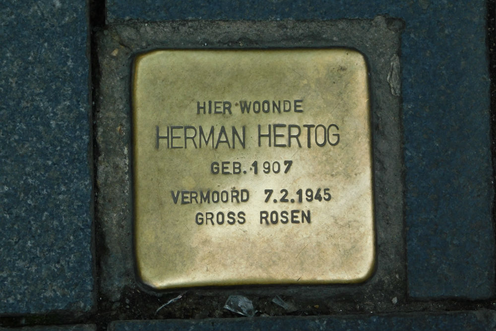 Stolpersteine Achter het Vleeshuis 2 #1