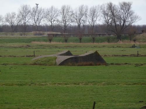 Group Shelter Spaarndam #1