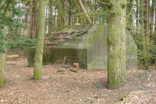 Group Shelter Type P Koggerbos #2