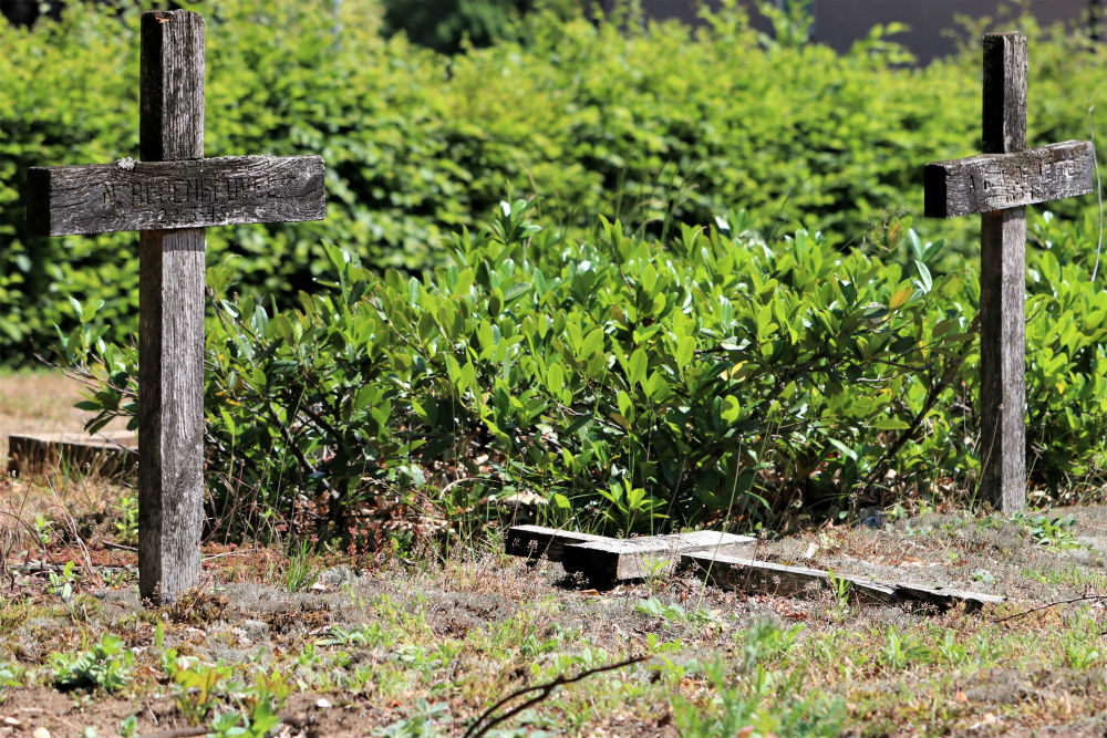 Dutch War Graves General Cemetery Terborg #1