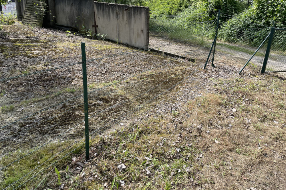 Barbed Wire Fence Adolfosee