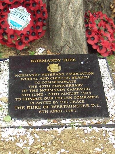 Normandy Memorial Tree #2
