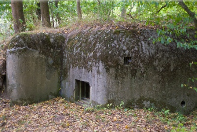 Benešova Line - Type 37 Casemate Horni Breckov