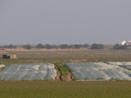 Pillbox FW3/22 Hollesley #1
