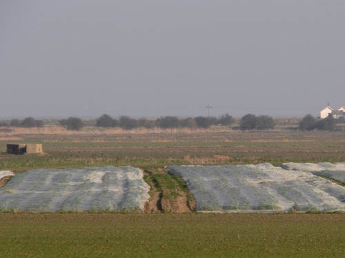 Pillbox FW3/22 Hollesley