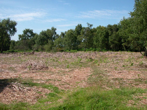 Locatie Krijgsgevangenenkamp Cannock Chase #1