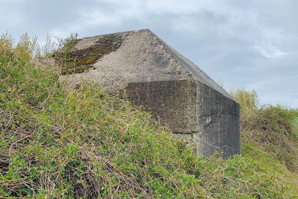 Groepsschuilplaats Sassedijk #4