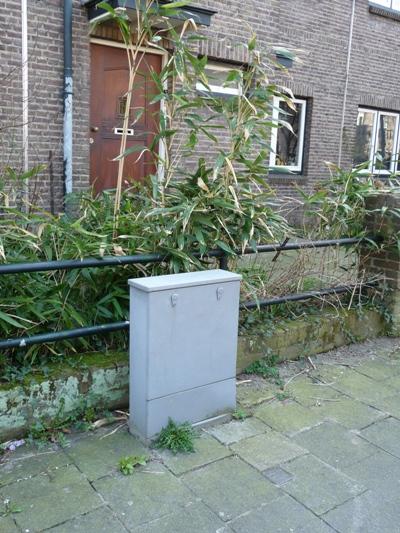 Stumbling Stone Nicolaas Beetsstraat 5 #2