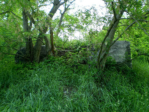 Molotov Line - Observation Post