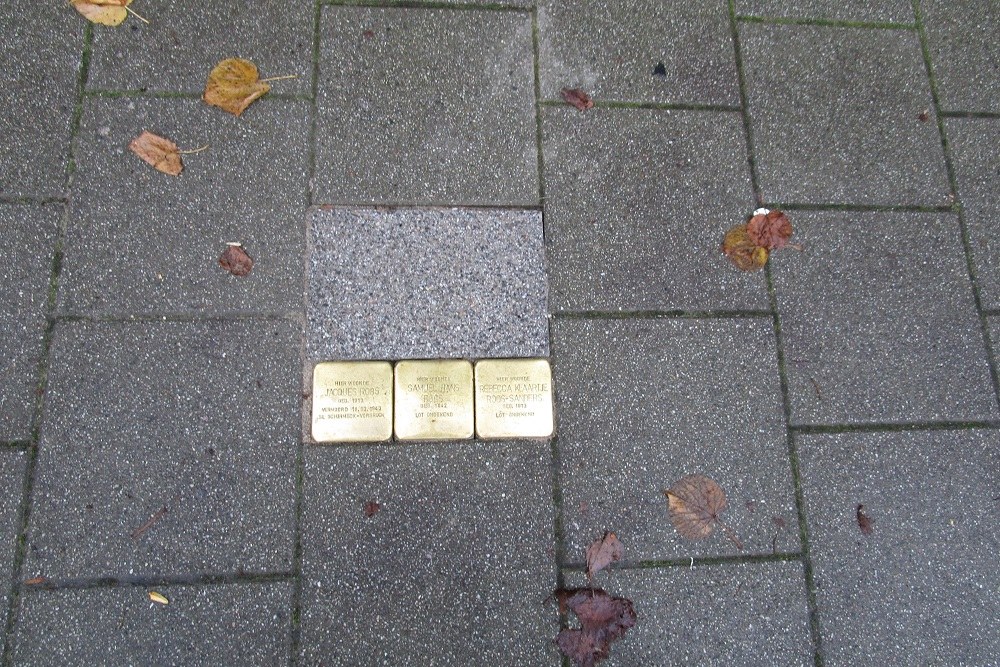 Stumbling Stones Essenburgsingel 90A #1