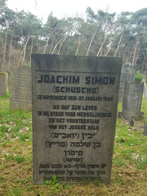 Dutch War Grave Vrachelse Heide Oosterhout