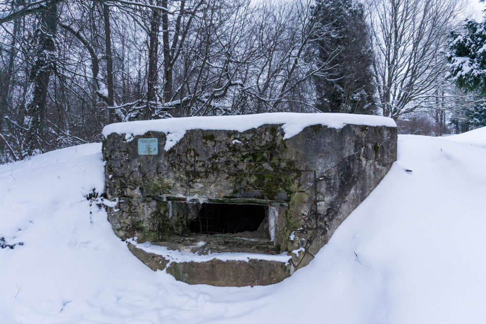 MG-Pillbox Ilyinskoye