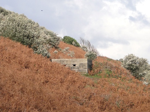 Suffolk Square Bunker Corton #2