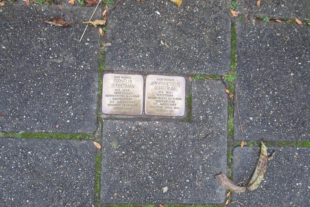 Stolpersteine Francois Haverschmidtlaan 58 #1