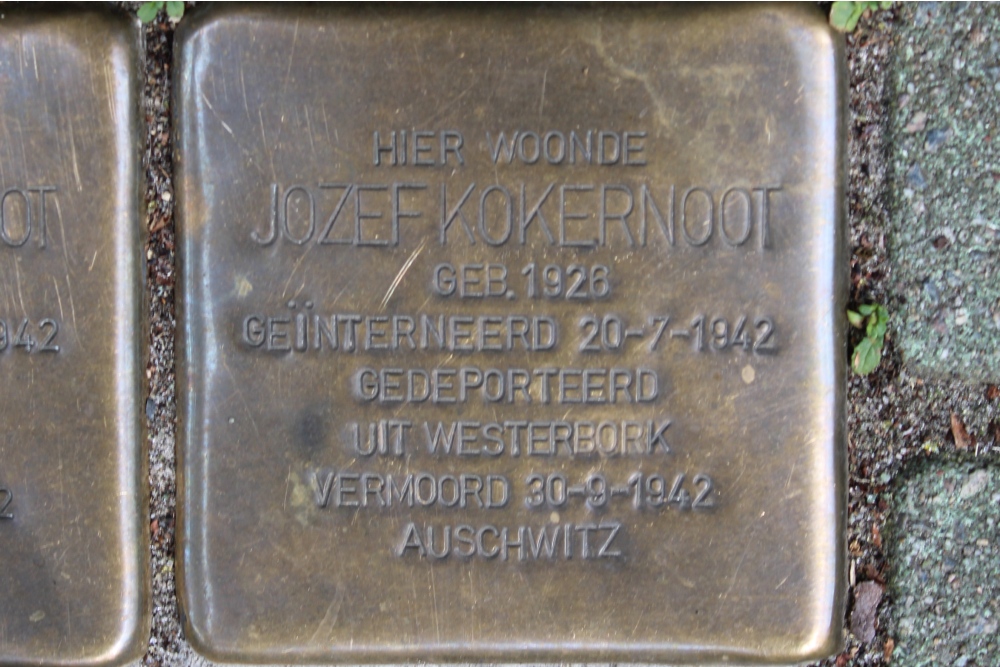 Stolpersteine Vrolikstraat 305 #4
