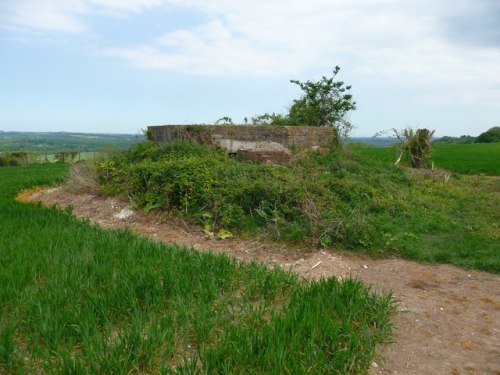 Bunker FW3/22 West Dean #1
