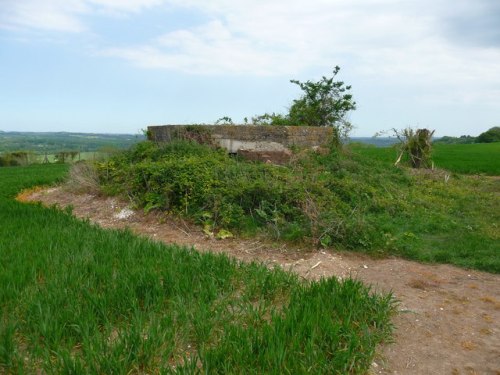 Pillbox FW3/22 West Dean #1