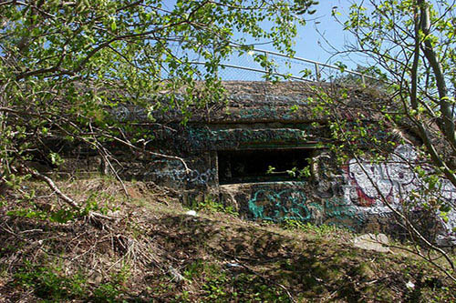 Skav Line - Sjotorp Fort #2