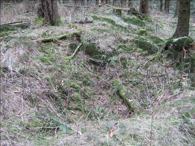 Foxholes 394th Infantry Regiment (99th Infantry Division) #3