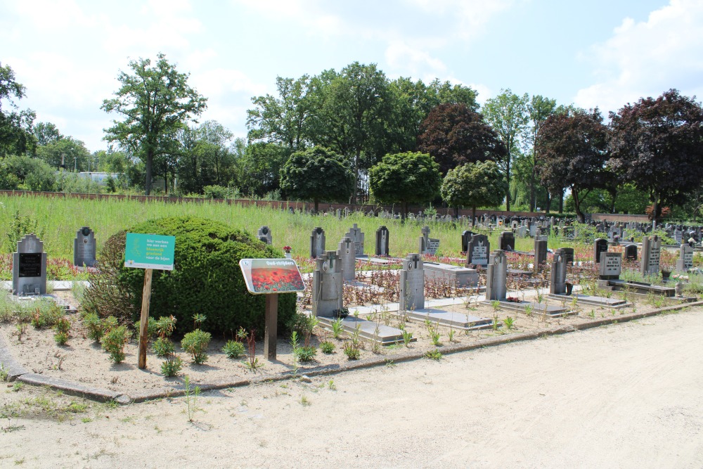 Belgische Graven Oudstrijders Beringen-Mijn #1