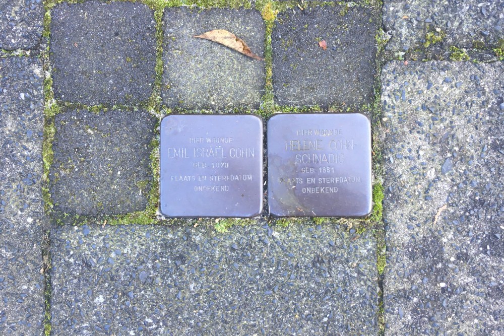 Stolpersteine Hindelaan 15 #1