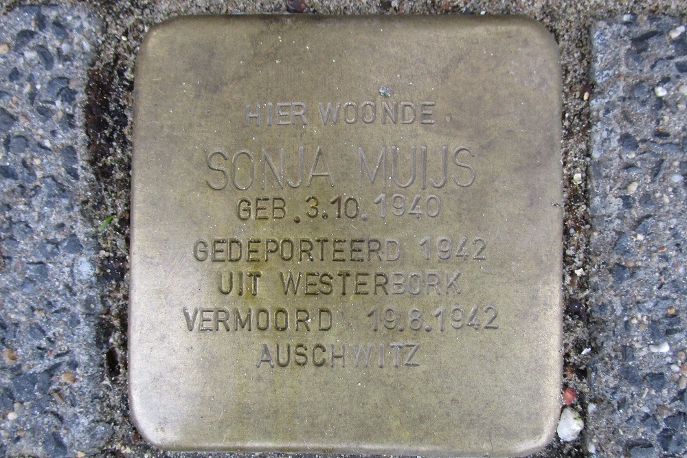 Stolpersteine Van Alphenstraat 116 #4