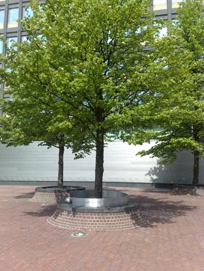 Memorial Forced Laborers The Hague #1