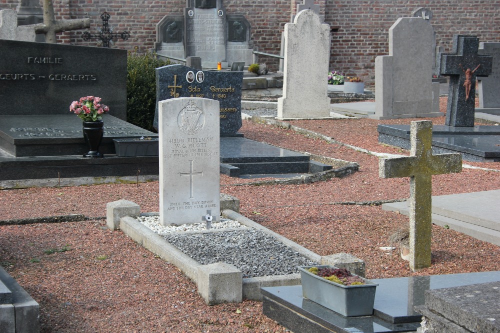 Commonwealth War Grave Veldwezelt #1