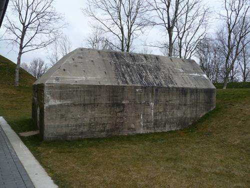 Group Shelter Type P Werk aan het Spoel #1